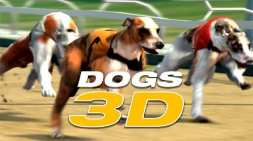 Dogs 3D - Spin City - Congo